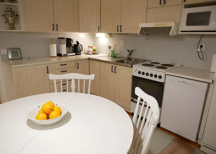 Riihipelto - A Cozy House In The Countryside Ferienhaus